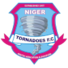 尼日尔FC 尼日尔FC
